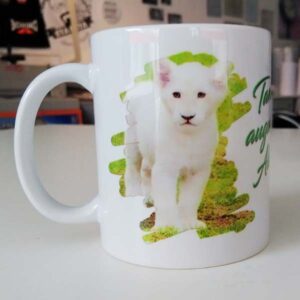 import placeholder for 491